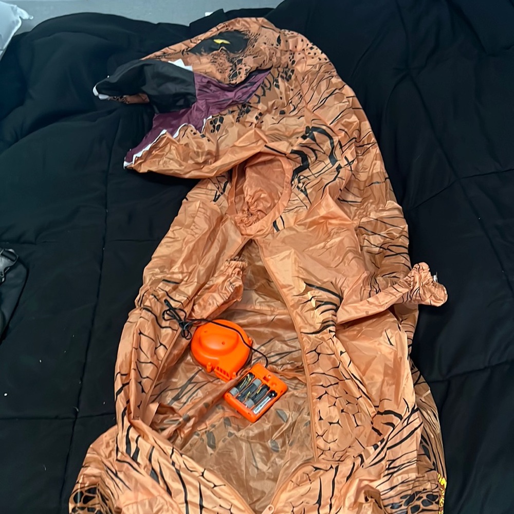 TRex costume Youth